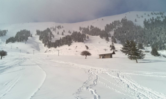 Καιρός - Μαγεία: Δείτε LIVE ΕΙΚΟΝΑ από τα χιόνια σε κάθε γωνιά της Ελλάδας!