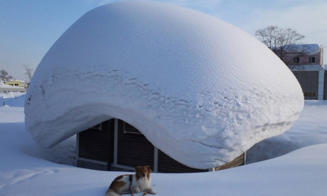 Δεν έχετε ξαναδεί τόσο χιόνι σε μια νύχτα (Vid)