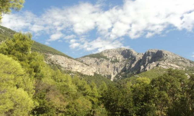 Καιρός: Γιατί όλοι πήγαν σήμερα στην Πάρνηθα; Εικόνες που σαρώνουν στο Διαδίκτυο