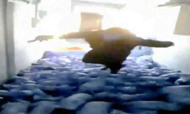 Βίντεο – σοκ: Υπέρβαρος συνθλίβει γουρουνάκια μέχρι θανάτου πηδώντας πάνω τους!