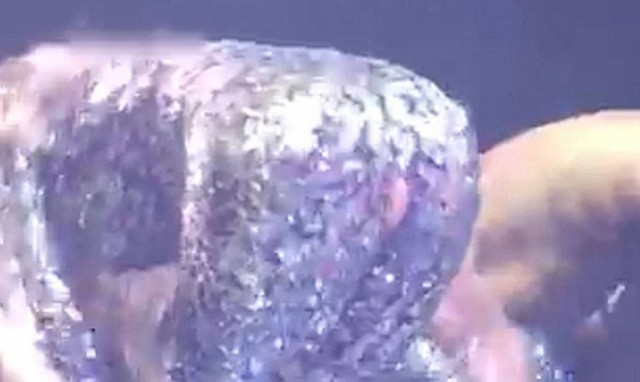 Το «καυτό» ατύχημα της Jennifer Lopez: Το κορμάκι δεν άντεξε τις καμπύλες της και φάνηκαν όλα! (vid)