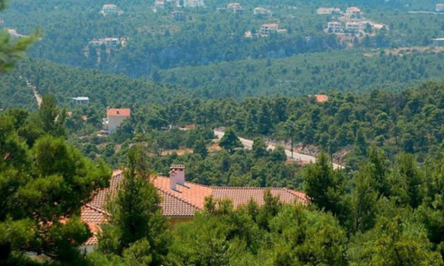 ΣτΕ: Φραγμοί στους επίδοξους καταπατητές δασών και δασικών εκτάσεων