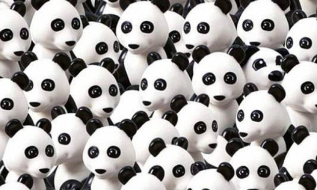 Το νέο κουίζ που κάνει το γύρο του διαδικτύου – Μπορείς να βρεις τον σκύλο;