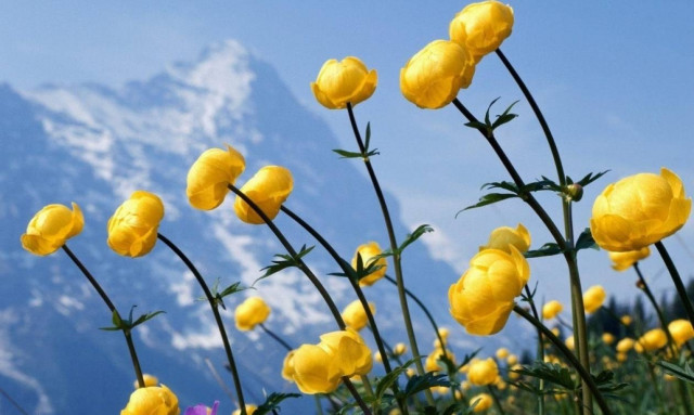 Καιρός για… Αλκυονίδες μέρες – Πόσο θα κρατήσουν;