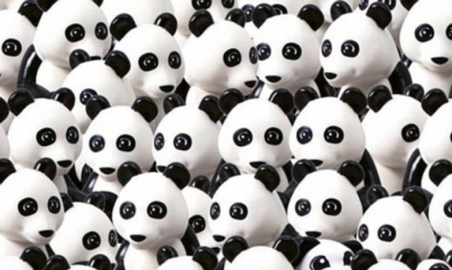 Βρήκατε το πάντα; Τώρα βρείτε τον σκύλο! (photo)