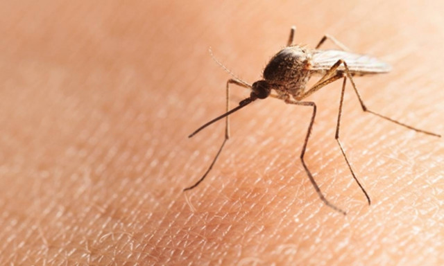 ΗΠΑ: Και τρίτο επιβεβαιωμένο κρούσμα του ιού Ζίκα στο Ιλινόις