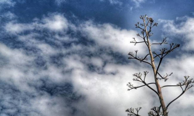 Ο καιρός την Κυριακή - Αναλυτική πρόγνωση