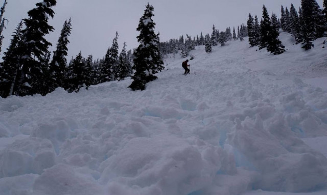 Τραγωδία στον Καναδά: Πέντε νεκροί από χιονοστιβάδα