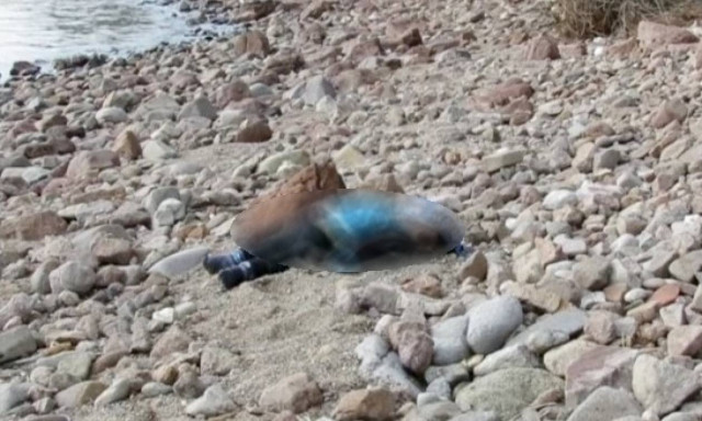 Νέες σοκαριστικές εικόνες από το ναυάγιο στην Τουρκία – Τουλάχιστον 37 οι νεκροί