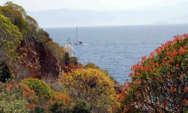 Ηλιόλουστος ο καιρός της Δευτέρας με «ανοιξιάτικες» θερμοκρασίες (pics)