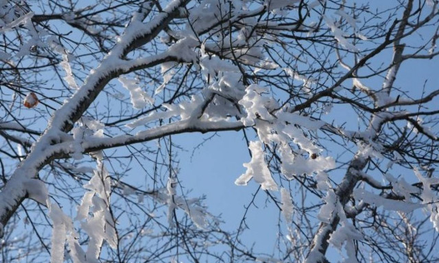 Προσοχή: Νέο κύμα κακοκαιρίας θα σαρώσει τη χώρα – Πού και πότε θα χιονίσει
