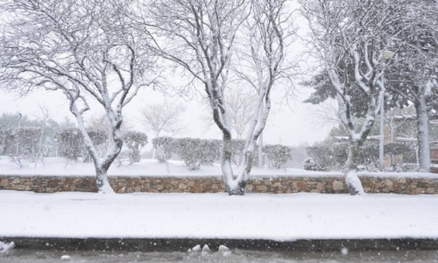 Προσοχή! Παγετός στο ορεινό οδικό δίκτυο της Χαλκιδικής