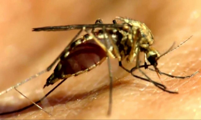 Το Πεκίνο επιβεβαίωσε το πρώτο κρούσμα του ιού Ζίκα