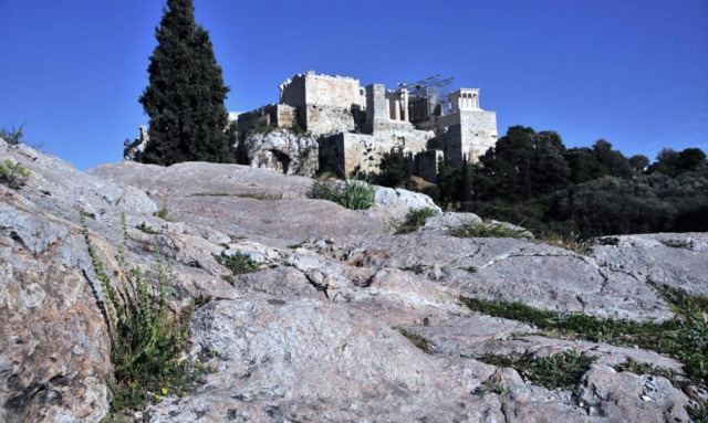 Γιατί αυτό το λουλούδι φυτρώνει μόνο στην Ακρόπολη και πουθενά αλλού στον κόσμο;