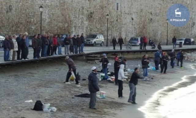 Ρόδος: Μόνο στη στεριά δεν βγήκαν οι τσιπούρες-Χαράς ευαγγέλια για τους ερασιτέχνες ψαράδες  (video)