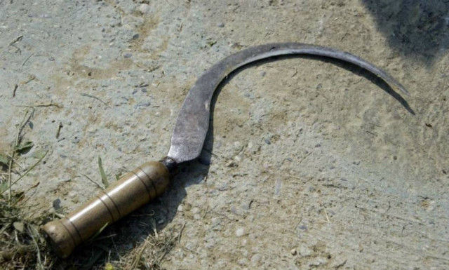 Σοκ: Έκοψε το πέος του κουνιάδου της με δρεπάνι και το πήγε στην αστυνομία