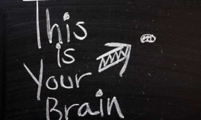 Η μοντέρνα συνήθεια που συρρικνώνει τον εγκέφαλο