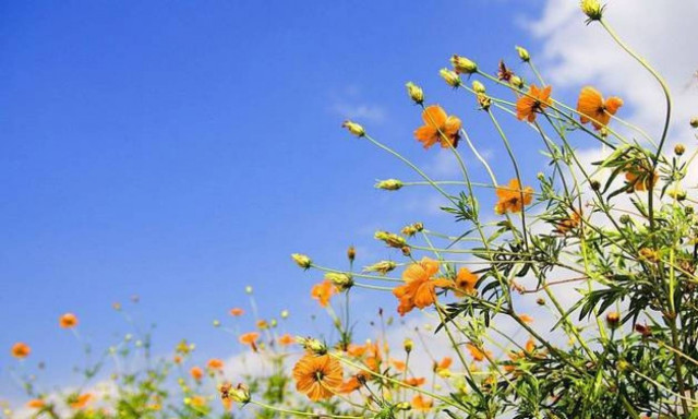 Ο καιρός μάς τρολάρει – Πότε και πού ο υδράργυρος θα φτάσει στους 26 βαθμούς