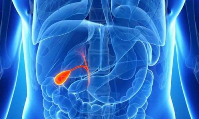 Αντίο χολή σε λίγα λεπτά!