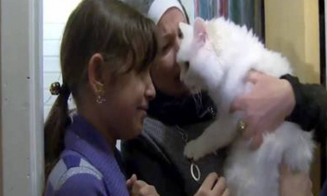 Η «οδύσσεια» ενός γάτου – πρόσφυγα και η συγκινητική επανένωση με την οικογένειά του