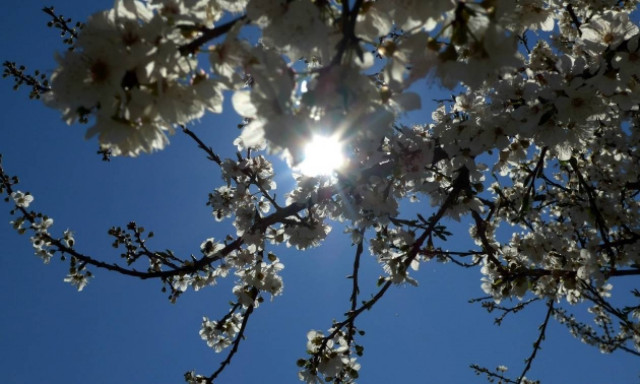 Καιρός: Πού θα κυμανθεί ο υδράργυρος την Τρίτη (23/2) - Αναλυτική πρόγνωση