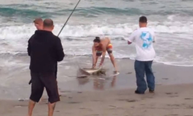 Τραγικό: Άνδρας έβγαλε καρχαρία στη στεριά για μια... φωτογραφία μαζί του! (pic+vid)