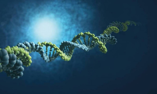 Bayer: Καινοτoμία για μια Καλύτερη Ζωή