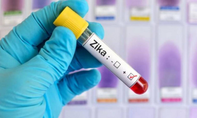 Τσεχία: Οι αρχές ανακοίνωσαν τα πρώτα κρούσματα Ζίκα