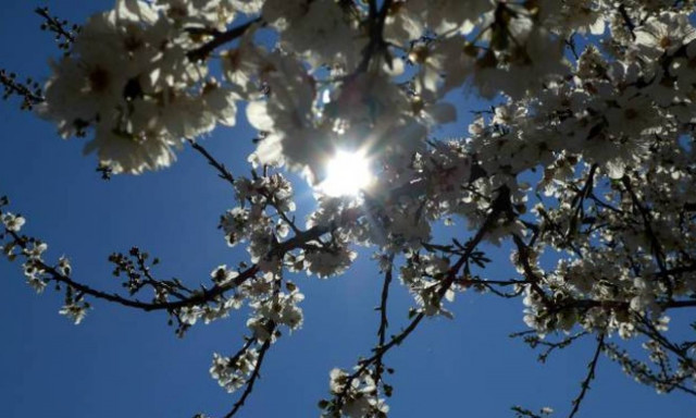 Ο καιρός μάς… τρολάρει – Από τη μία βροχές και καταιγίδες και από την άλλη ανοιξιάτικες θερμοκρασίες