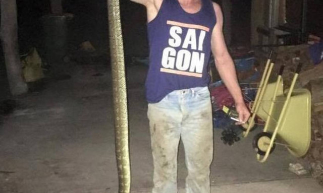 Σοκ στην Αυστραλία: Μητέρα βρήκε πύθωνα να δαγκώνει τον γιο της στο κρεβάτι (pic)