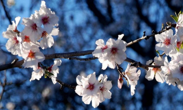 Έχει ο καιρός γυρίσματα: Τέλος η κακοκαιρία - Δείτε πού θα φτάσει η θερμοκρασία το Σαββατοκύριακο