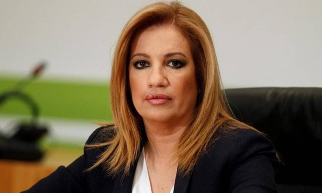 Φ.Γεννηματά: Ας χαμηλώσουμε όλοι το βλέμμα και να δούμε τις λάσπες της κάθε Ειδομένης