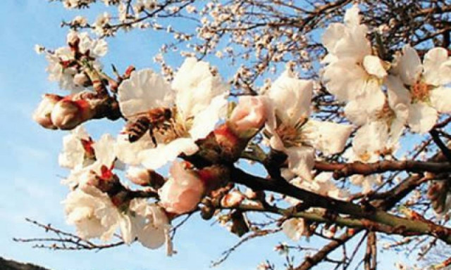 Μύρισε Άνοιξη: Ο καιρός την Κυριακή (20/3) – Αναλυτική πρόγνωση