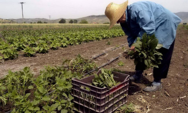 Επιδοτήσεις ΟΠΕΚΕΠΕ: Από τα 5.000 ευρώ ξεκινά η επιστροφή αγροτικών επιδοτήσεων