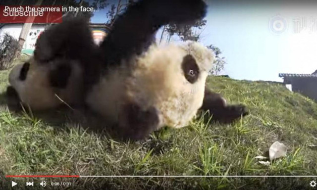 Πάντα εναντίον τηλεοπτικής κάμερας: 1-0 (vid)