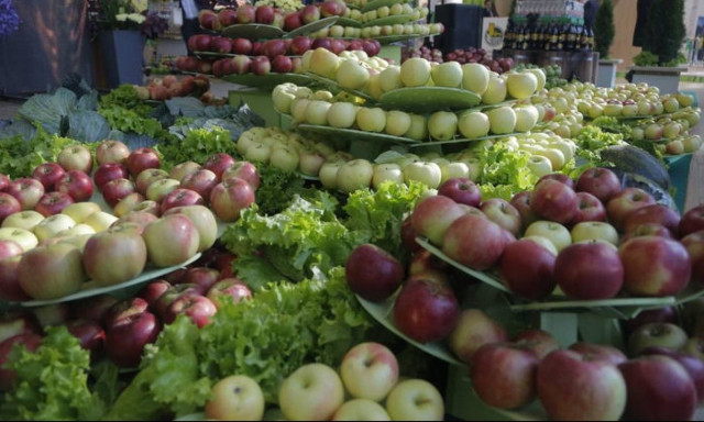 Τα νέα πακέτα ΕΣΠΑ που θα «τρέξουν» φέτος