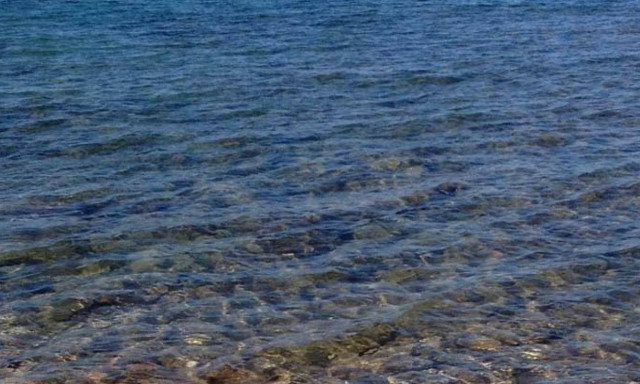 Θρίλερ στην Πάτρα: Η θάλασσα ξέβρασε το πτώμα ημίγυμνης γυναίκας