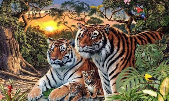 Σπαζοκεφαλιά – εφιάλτης! Εσείς πόσες τίγρεις βλέπετε σε αυτή την αφίσα;