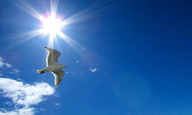 Καιρός: Ηλιοφάνεια με λίγα σύννεφα και ζέστη!