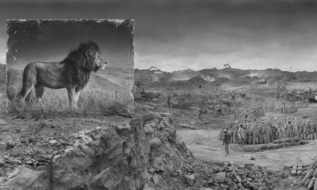 Εκεί που κάποτε βασίλευαν λιοντάρια (Pics)