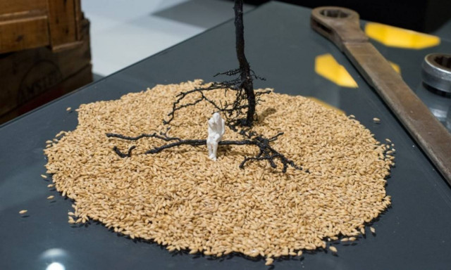 Αθήνεο: «Εννέα καλλιτέχνες, εννέα έργα, ένας κοινός εικαστικός δρόμος, τo κριθάρι, η σπορά»