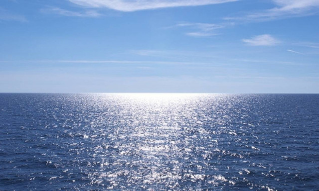 Και ξαφνικά ένα κήτος 4 μέτρων εμφανίστηκε στη θάλασσα – Τρόμος στη Στυλίδα (pics)