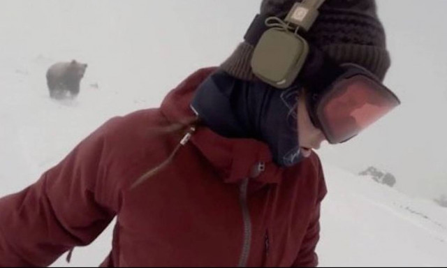 Τρόμος στο βουνό: Αρκούδα κυνηγά ανυποψίαστη γυναίκα! (video)