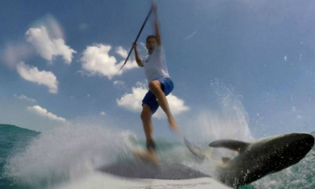 Ασύλληπτο: Σέρφερ τρακάρει με… καρχαρία! (video)