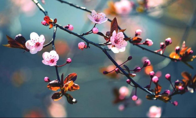 Καιρός - Προσοχή: Έρχεται «θερμό» Σαββατοκύριακο – Δείτε πόσο θα φτάσει ο υδράργυρος