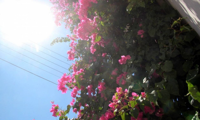 Καιρός: Σε ρυθμούς... καλοκαιριού - Ετοιμαστείτε για μίνι καύσωνα!