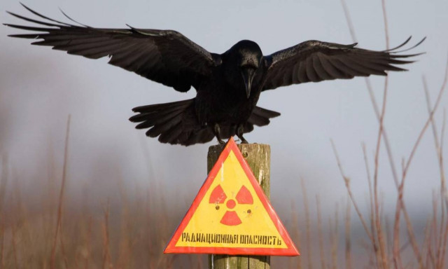 Τσερνομπίλ: 30 χρόνια χωρίς ανθρώπινη παρουσία (Pics)