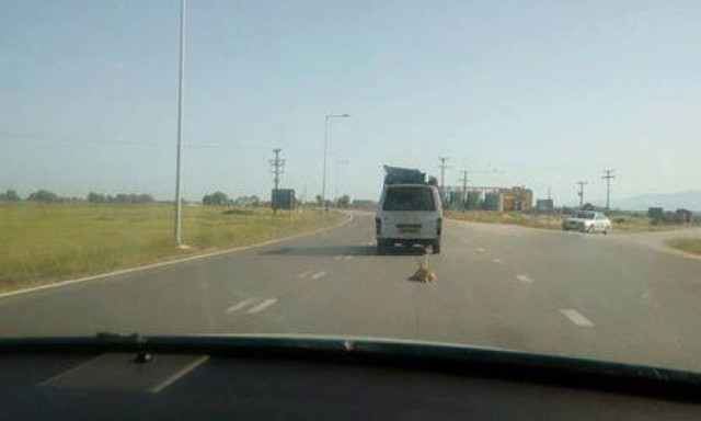 Περιστατικό φρίκης και βιαιότητας στην Ξάνθη: Έδεσε το σκυλί στο αυτοκίνητο και το έσερνε!