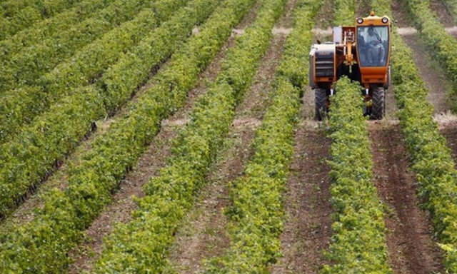 Τη Μεγάλη Εβδομάδα πληρωμές 650 εκατ. ευρώ στους αγρότες