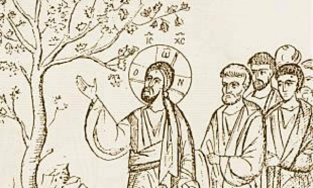Γιατί ο Χριστός καταράσθηκε τη συκιά;